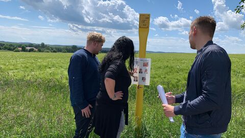 Drei Personen stehen im Delf und betrachten verschiedene ausgedruckte Bilder